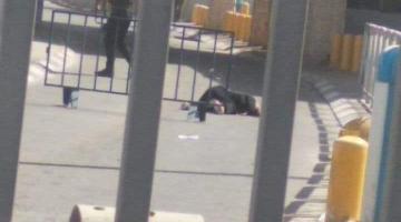 الاحتلال يطلق النار على فتاة عند حاجز قلنديا شمال القدس