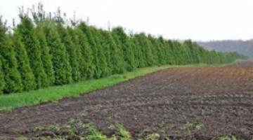 ضابط صهيوني: بسبب الأعشاب يمكن أسر جنود علي حدود لبنان