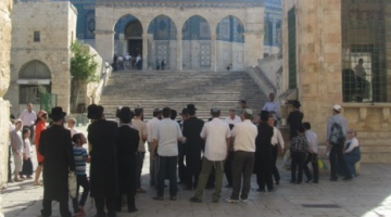 60 مجندة صهيونية يتجولن في الأقصى