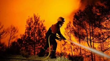 الطبيعة الصهيونية: الجيش وراء الحرائق بالكيان