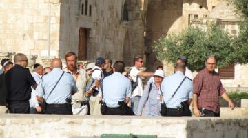 مستوطنون يقتحمون باحات المسجد الأقصى