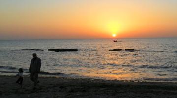 في أرض المعراج.. حكاية وطن مداده "روح" ومفتاحه "بندقية"