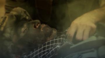 كليب شهادة عز