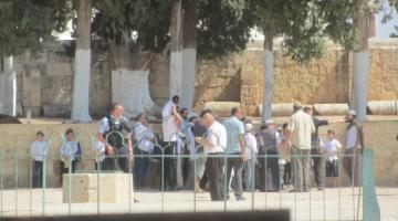 جماعات صهيونية تقتحم الأقصى