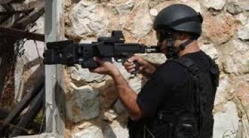 6784 مُصدّر سلاح في الكيان الصهيوني