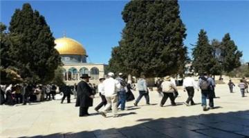مئات المستوطنين يقتحمون الاقصى