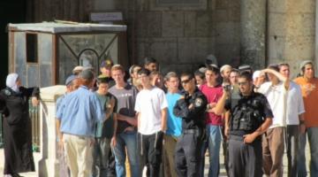 مستوطنون يقتحمون الأقصى واعتقال مصلٍ