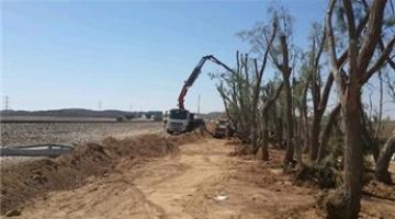 زراعة أشجار لحماية قطار سديروت من المقاومة