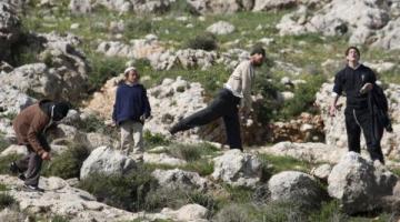 إصابة 3 أطفال ومسن باعتداءات للاحتلال بالخليل وجنين