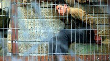 أشبال في سجن 'هشارون' يتعرضون للتنكيل