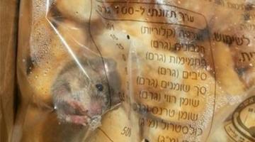 طعام مع "فئران" لجنود القبة الحديدية