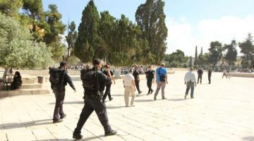 مستوطنون يقتحمون الأقصى المبارك