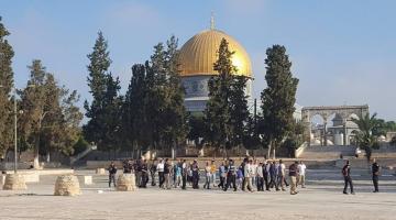 مستوطنون يقتحمون باحات الأقصى