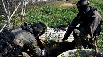 مستوطنون يقتلعون 310 شجرات زيتون معمرة بالقدس