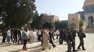 مستوطنون يقتحمون باحات المسجد الأقصى