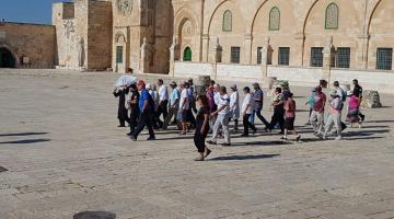 منظمات استيطانية تدعو لاقتحامات واسعة للأقصى غدًا