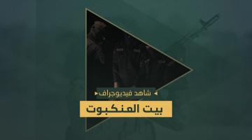 فيديو جراف.. «بيت العنكبوت»