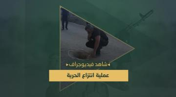 فيديو جراف.. عملية «انتزاع الحرية»