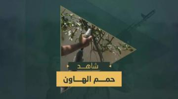 حمم الهاون التي دكت بها السرايا التحشدات العسكرية والآليات المتوغلة في معسكر جباليا