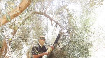 حمم الهاون التي دك بها مجاهدي سرايا القدس التحشدات العسكرية والآليات المتوغلة شرق مدينة رفح