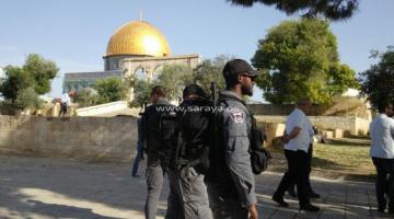 مستوطنون يقتحمون باحات المسجد الأقصى وسط حماية مشددة