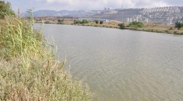  500 جندي صهيوني مصاب بالسرطان بسبب تدريبات في نهر ملوث 