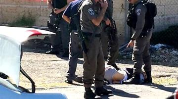 الجهاد: عملية القدس تؤكد أن ارادة شعبنا لايمكن أن تنكسر