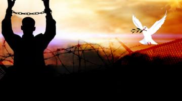 7 أسرى يواصلون إضرابهم عن الطعام في سجون الاحتلال