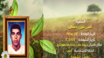 وصايا مسافرة "أمين حمدان"