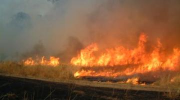 حريق هائل قرب قاعدة المظليين بالنقب الغربي