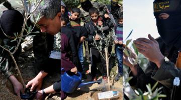 فيديو وصور.. "للشهداء نغرس الوطن"