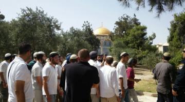 123 مستوطنًا يقتحمون باحات الأقصى بحراسة مشددة