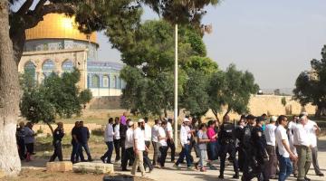 مستوطنين يقتحمون باحات المسجد الأقصى