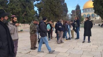 343 مغتصب اقتحموا باحات المسجد الأقصى خلال أسبوع