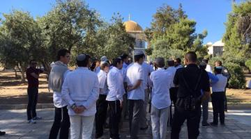 مستوطنون يقتحمون الأقصى ويؤدون طقوسًا تلمودية