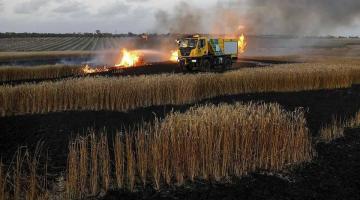 حكومة الكيان تقرر تعويض مزارعي "غلاف غزة"