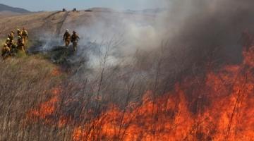 إصابة 7 جنود بالاختناق بالقدس