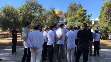 مستوطنون يقتحمون باحات المسجد الأقصى