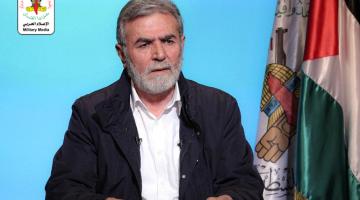 كليب.. "سلماً حرباً بايعناك"