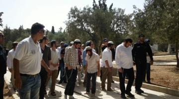 صور.. مغتصبون يدنسون باحات الأقصى وسط حماية مشددة