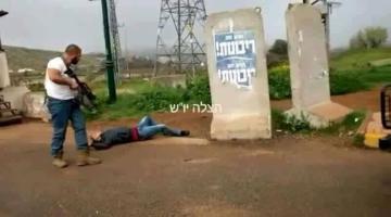 ثلاثة شهداء وإصابة صهيونيين في عمليتي دهس بالخليل