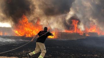 احتراق 35400 دونماً في مغتصبات "غلاف غزة" بفعل البالونات
