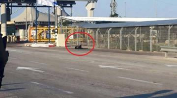 العدو يعدم فتاة بزعم محاولتها تنفيذ عملية طعن جنوب قلقيلية