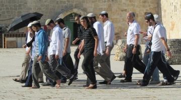 أكثر من 700 صهيوني اقتحموا الأقصى منذ بداية الشهر