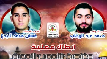 عملية "شلومي" النوعية