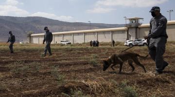 ما هي الوحدات التي شاركت في مطاردة أبطال عملية "انتزاع الحرية" ؟