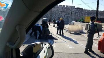 العدو يعتقل فتاتين حاولتا تنيفذ عمليتي طعن بالقدس والخليل