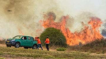 50 حريقاً في مغتصبات "غلاف غزة" بفعل البالونات الحارقة