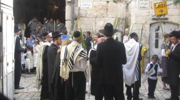 خطة صهيونية لإلزام الطلاب بزيارة المسجد الإبراهيمي