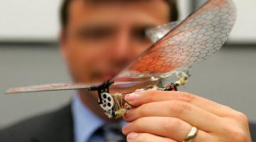 "الحشرات الالكترونية".. عيون جديدة لـ"إسرائيل" بغزة